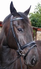 FSS Crystal Bling Bridle