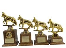 Personalised Gold Dog Show Dog