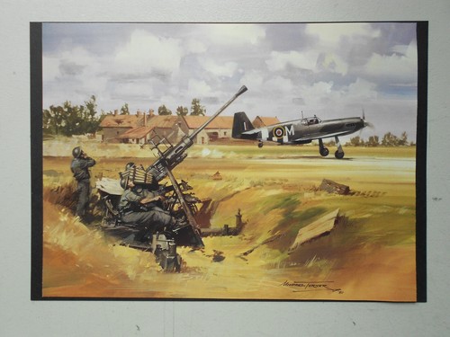 Military aviation print p 51 - military,