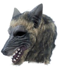 Wolf scary dog animal face - wolf,