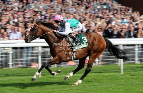 Frankel tom queally photo - queally,