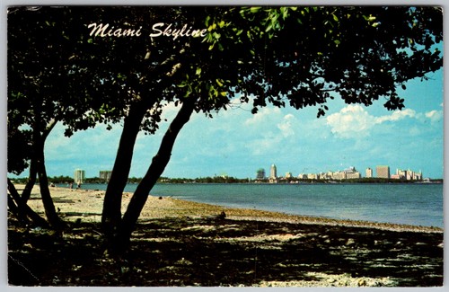 Vtg postcard skyline - postcard,