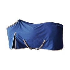 Horse Canvas Sheet Horse
