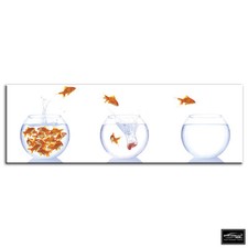 Goldfish Bowls   Animals BOX