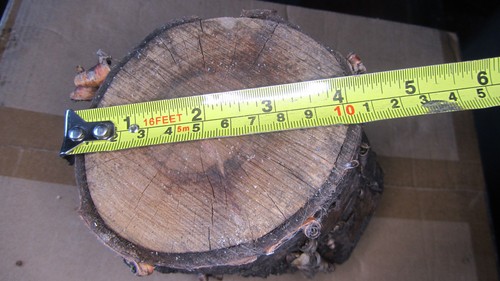 Cherry log blank turning - , wood