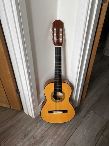 Classic spanish guitar - classic,