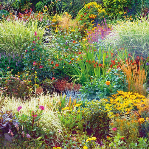Thompson morgan nurseryman - morgan, nurseryman's