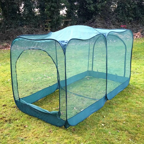 Giant chicken run - chicken, &