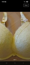 Pretty Lace Padded Bra