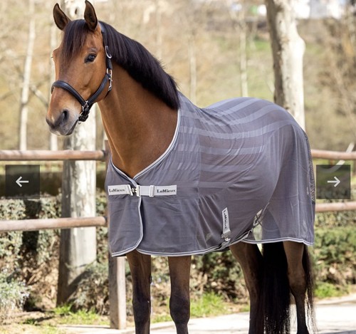 Lemieux arika air tek - air, sheet