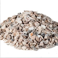 Oyster Shell 250g 500g 1kg