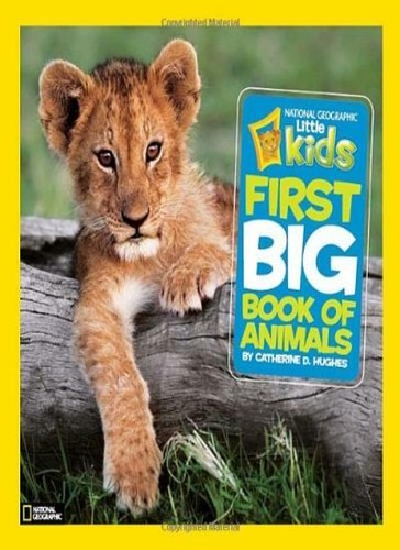 Little kids first big book - kids,