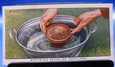 1938 W.D. & H.O. Wills Garden