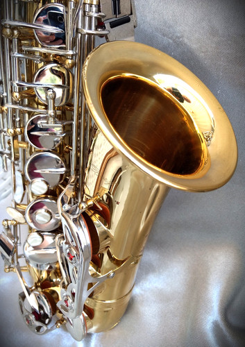 Borg gold silver student - gold/silver, alto