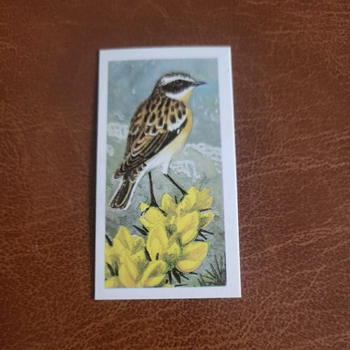 1965 brooke bond tea wild - bond,