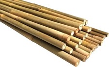 Natural Bamboo Poles, 4 ft