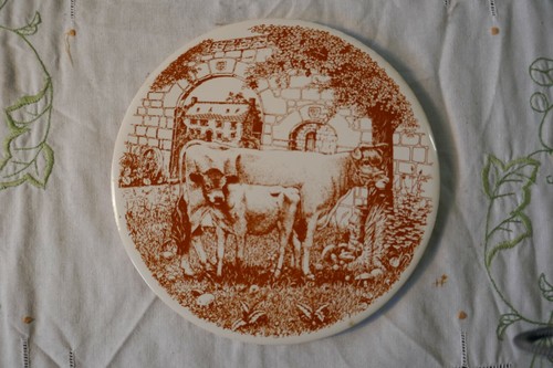 Jersey cow and calf - cow,
