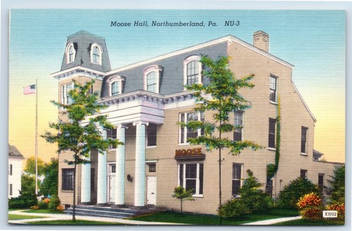 Moose hall northumberland - moose,