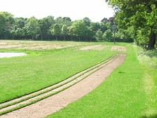 Photo 6x4 turf growing - photo,