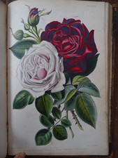 1859 GARDENER'S ASSISTANT