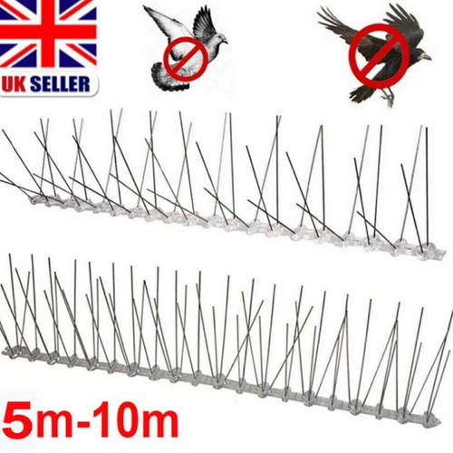 20m pigeon bird spikes - pigeon,