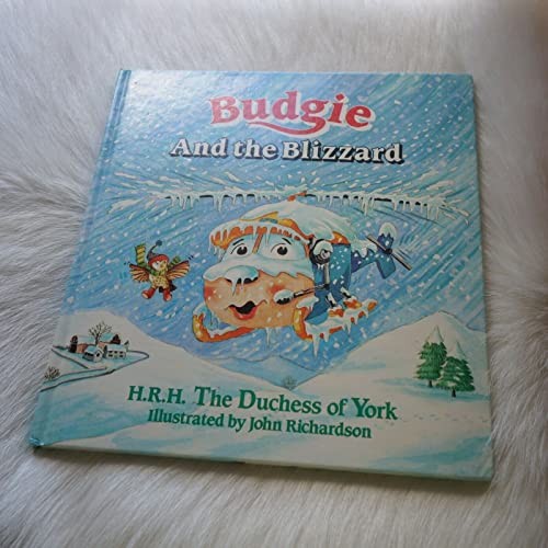 Budgie and the blizzard - and,
