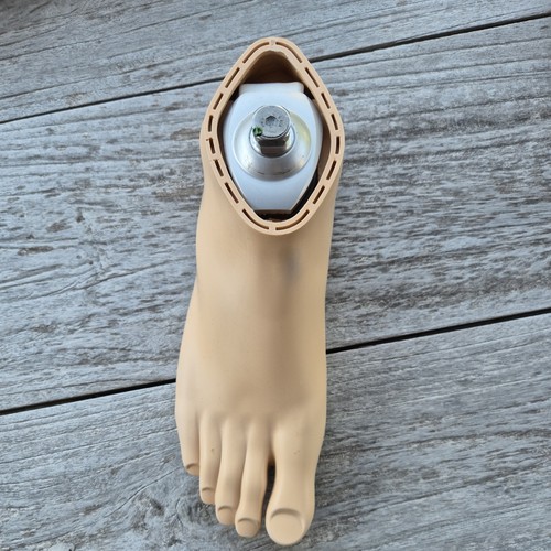 Otto bock prosthetic - otto,