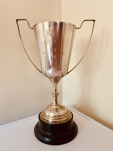 Silver trophy - 🏆,