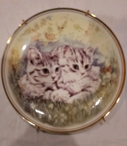 Lovely kittens wall plate - kittens, &
