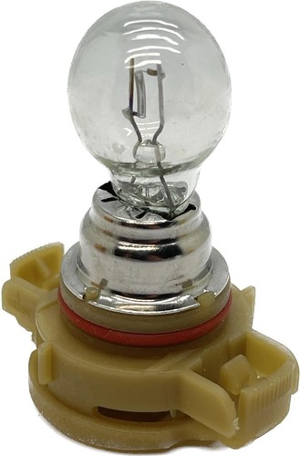 12v 24w h16 white bulb - 1,