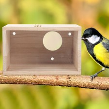 Wooden parrot budgie lovebird - parrot,