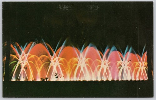 Cape coral florida vintage - coral,