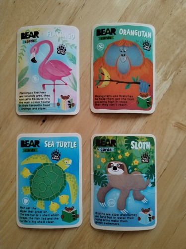 Yoyo bear cards - 4,