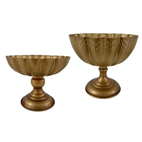 Traditional tall iron plant - traditional,