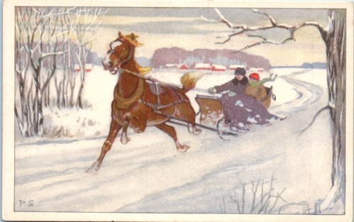 Horse drawn sleigh - horse, winter