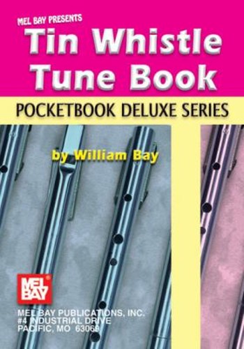 Tin whistle tune book - tin,
