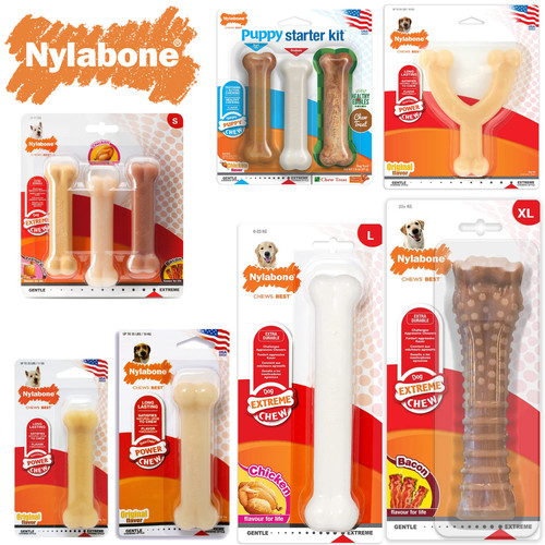 Nylabone dura chew tough - nylabone,