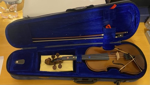 Stentor student model - 1, (1400)