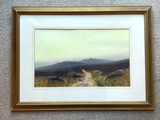 Monica Freyburg (Macivor) 'Nr