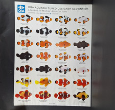 Aquarium Marine Fish