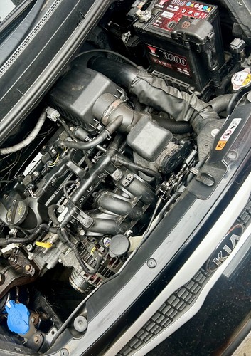 2013 kia picanto - kia,