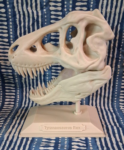 Rex printed dinosaur - t-rex, 3d