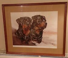 Vic Granger Limited Edition Print Rottweilers Head Study 