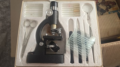 Vintage skybolt student - vintage,