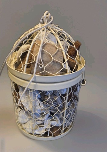 Decorative bird cage - decorative,
