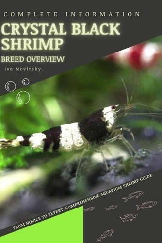 Red cherry shrimp from - cherry,