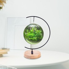 Ornament Display Stand with