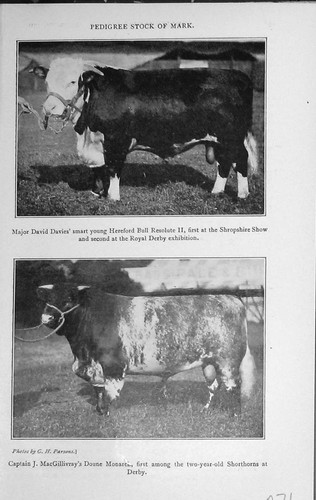 Original old vintage - old,