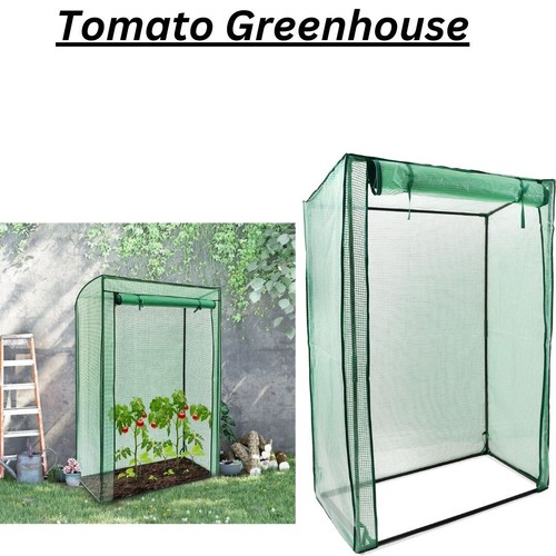 Garden tomato greenhouse - garden,