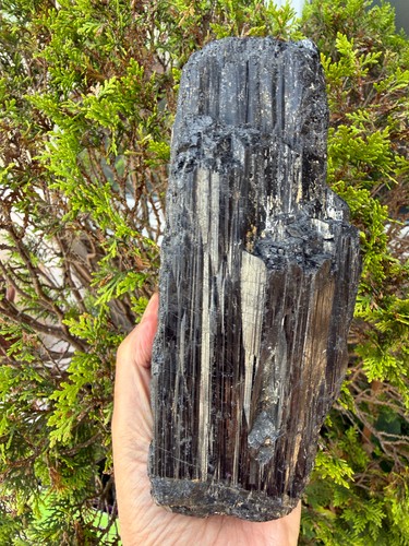 Black tourmaline crystal - black,